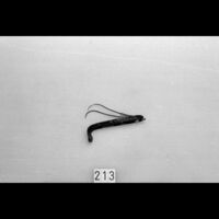 Voorwerpen\200\213.jpg; V00213; ; Wondhaak en -naaldRetractor and needle